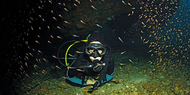 Night dive on the west coast mauritius (4)